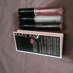 Mary kay ultra stay lip lacquer kit